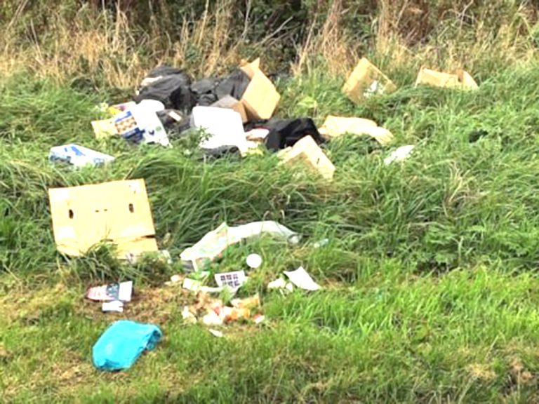 Man fined after business waste found dumped in rural road - The ...