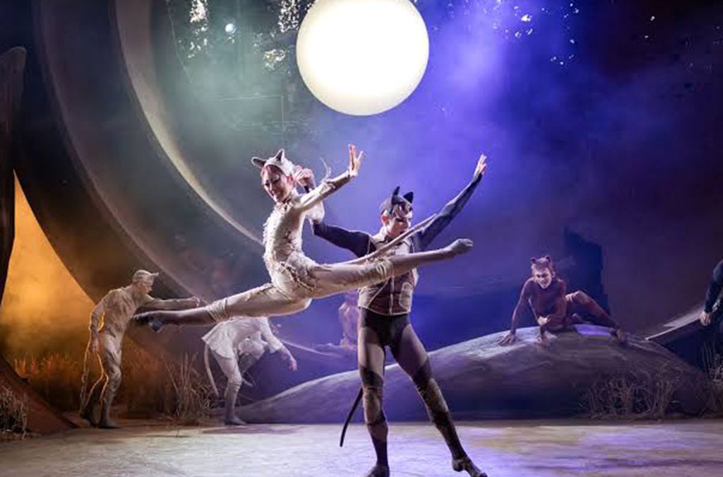 Fabulous furry felines deliver a theatrical triumph