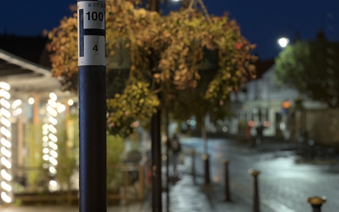 Poppies taken down from lampposts because of suspected vandalism
